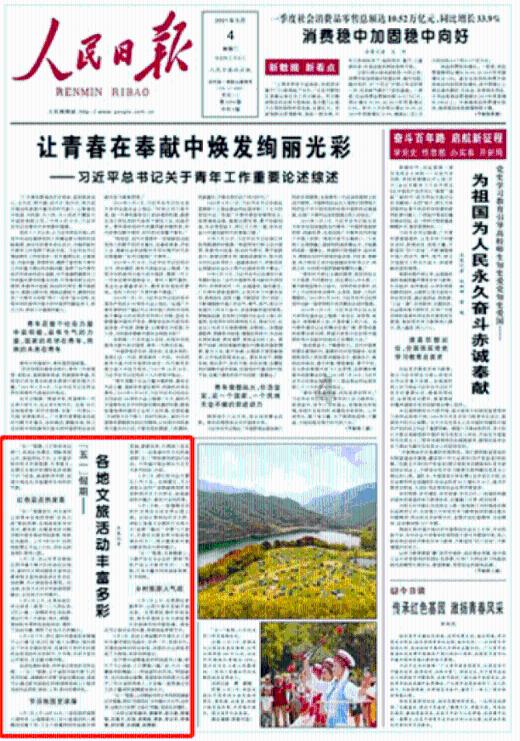 意想不到的旅程